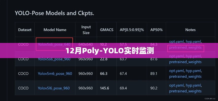 Poly-YOLO实时监测系统，12月最新应用
