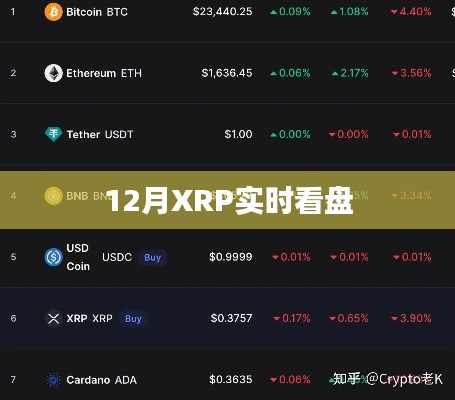 12月XRP行情实时关注