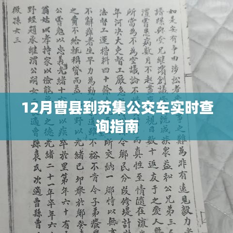 曹县至苏集公交实时查询指南，12月出行必备