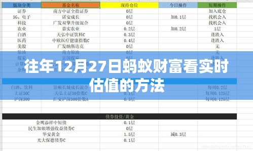 蚂蚁财富实时估值查看攻略，往年12月27日的操作指南