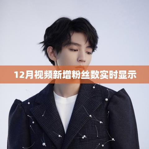 12月视频粉丝数实时更新，数据一目了然