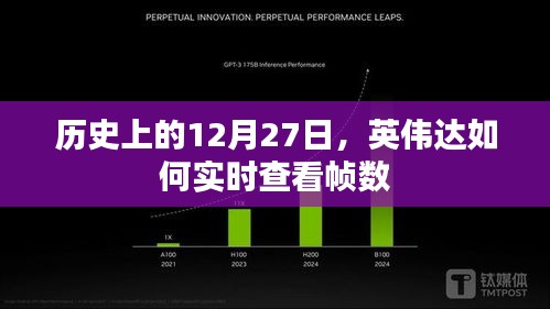 英伟达实时查看帧数历史回顾，揭秘背后的故事在这一天