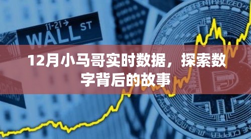12月小马哥数据解析，数字背后的故事揭秘