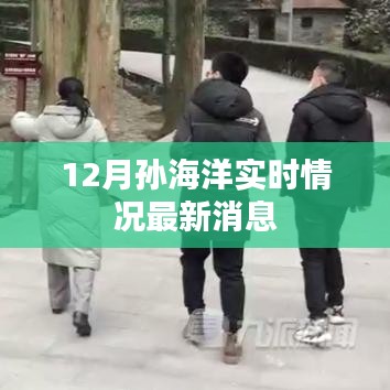孙海洋最新实时情况报道，十二月最新消息速递
