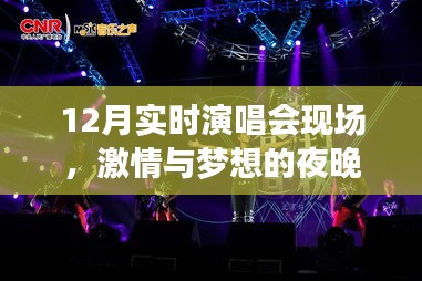 12月演唱会现场，激情与梦想的夜晚盛宴