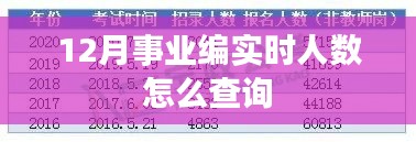 事业编实时人数查询方法指南
