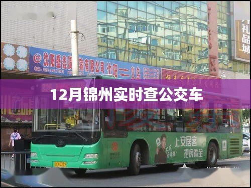 锦州公交实时查询系统（冬季版）