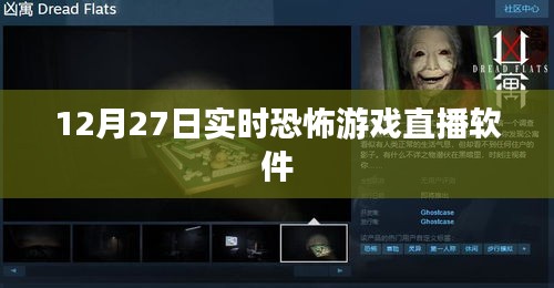 恐怖游戏直播软件实况直播，12月27日实时体验