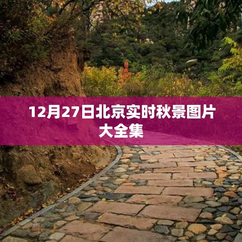 北京秋景实时图片集，12月27日美景一览