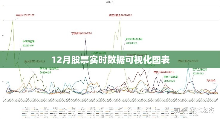 12月股票实时数据动态可视化图表解析