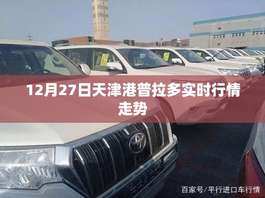 天津港普拉多12月27日实时行情动态