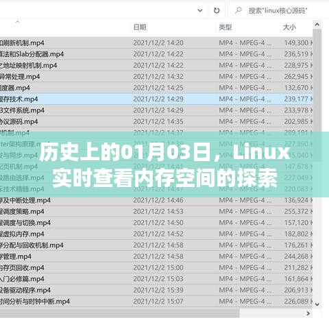 Linux实时内存监控历史，探索内存空间的奥秘