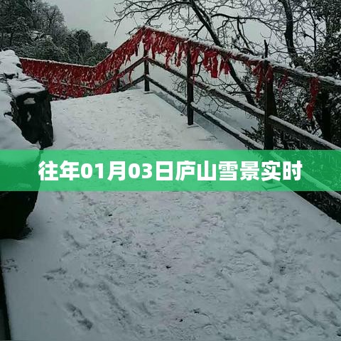 庐山雪景实时播报，冬日雪景美不胜收