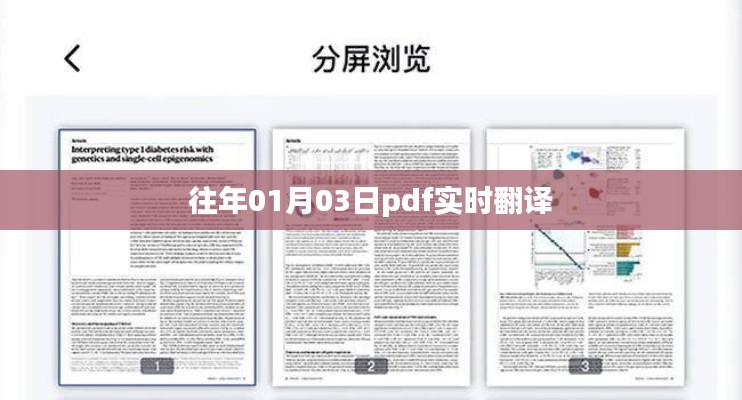 『历年一月初三PDF文件实时翻译概览』