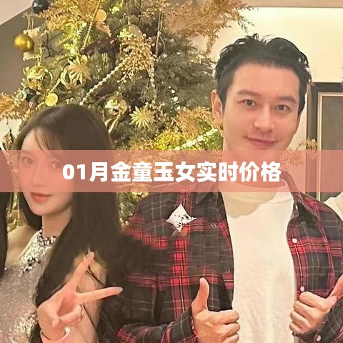 最新金童玉女产品一月价格概览