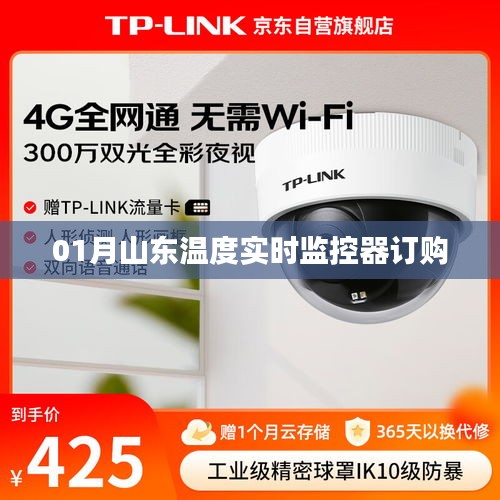 山东温度实时监控器一月订购服务