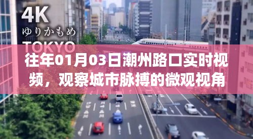 潮州路口实时视频观察，城市微观脉动