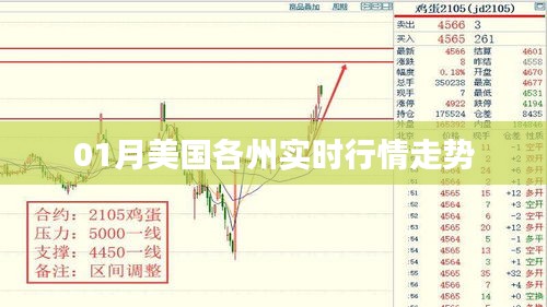 炊粱跨卫 第3页
