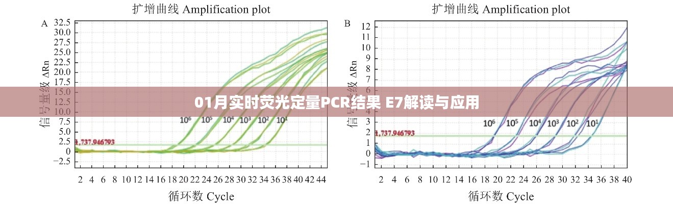 实时荧光定量PCR结果E7解读与应用解析