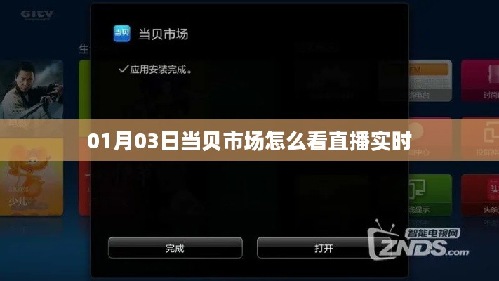 当贝市场直播实时观看指南