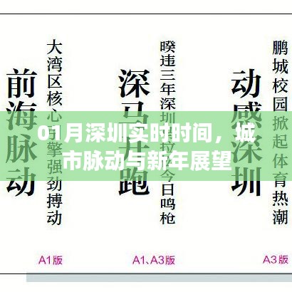 深圳新年实时时间，城市脉动与展望