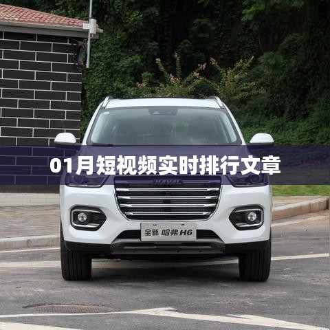 早生贵子 第3页