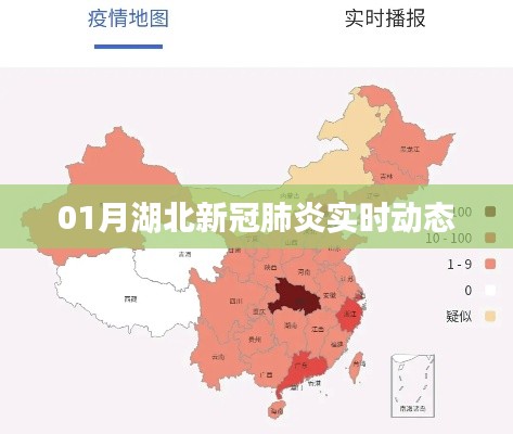 湖北新冠肺炎实时动态更新