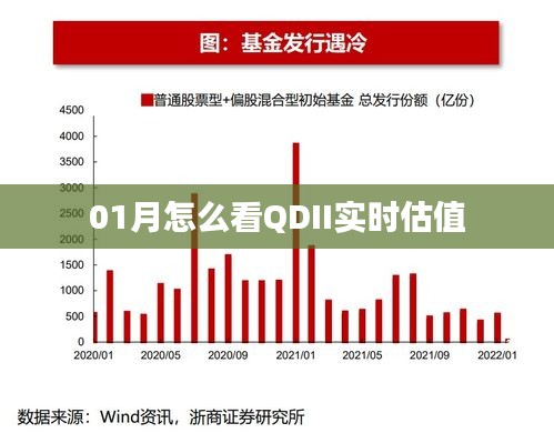 QDII实时估值的投资观察与解读