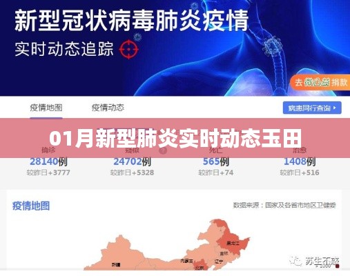 凤凰于飞 第2页