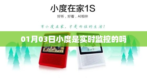 小度实时监控功能解析，01月03日表现如何？
