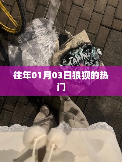 狼狈热门再现，历年一月三日回顾
