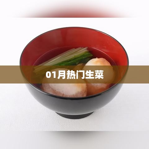 最新热门生菜推荐，一月不容错过！