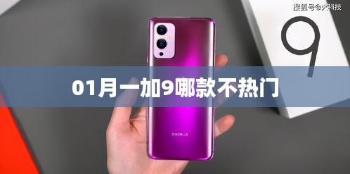 一月一加9冷门机型推荐