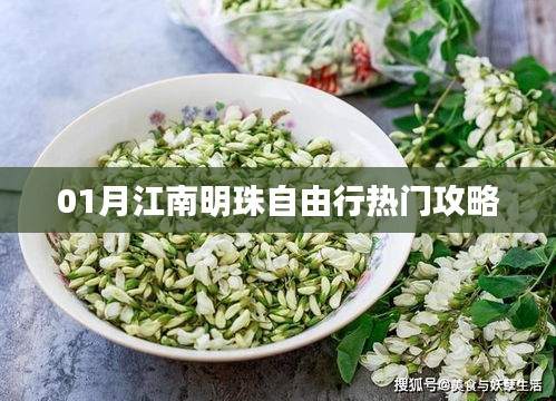 江南明珠自由行指南，热门攻略全解析