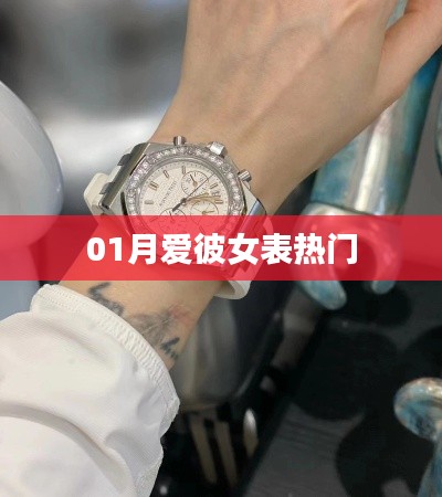 一月热门女性手表推荐
