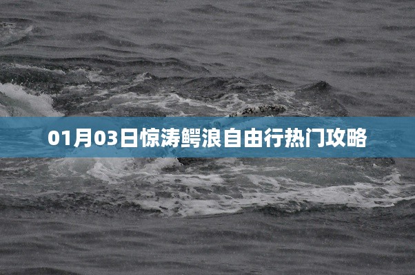 惊涛鳄浪自由行攻略，热门行程一网打尽