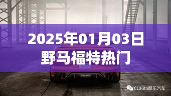 野马福特，2025年热门车型展望