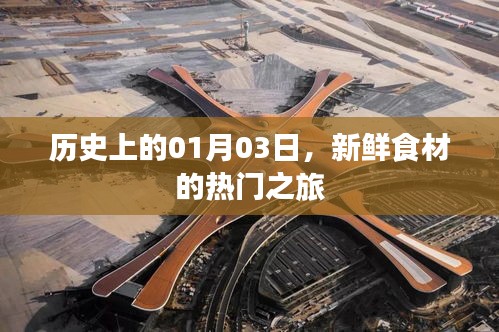 历史上的热门食材之旅，一月三日的新鲜启程