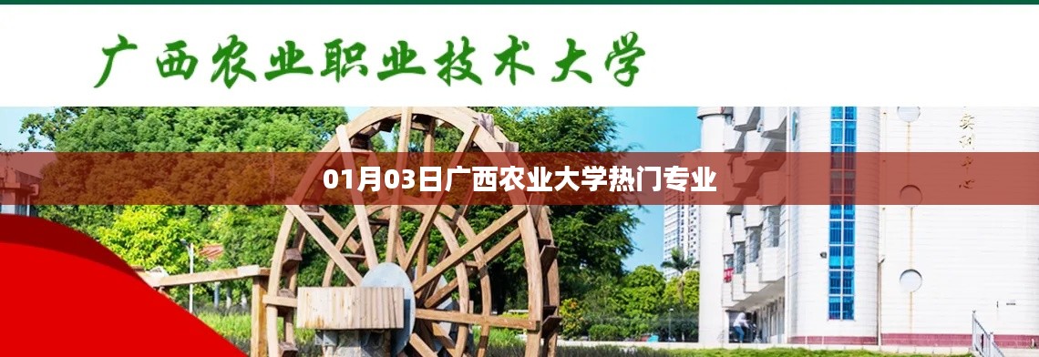 广西农业大学热门专业介绍，01月03日专业概览
