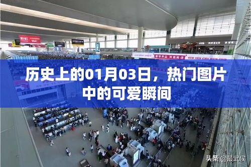 历史热门图片中的可爱瞬间，一月三日回顾
