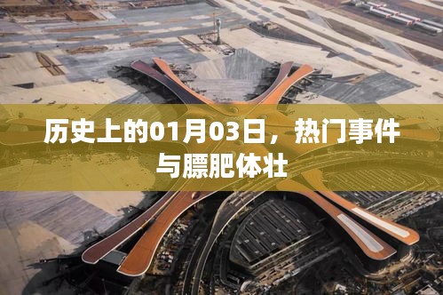 历史上的大事件，一月三日与膘肥体壮的日子