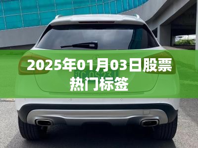 2025年热门股票标签解析