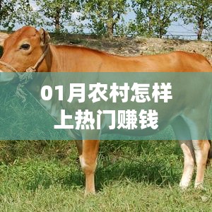 农村热门赚钱攻略，把握机遇，月入佳境！