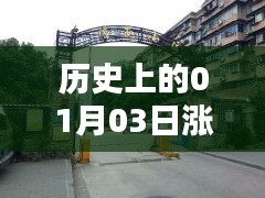 涨馨苑自由行，揭秘一月三日历史热门攻略