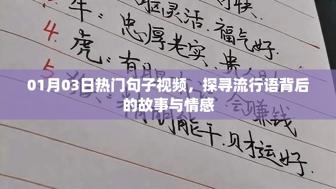 探寻流行语背后的故事与情感，热门句子视频解析 01月03日独家报道
