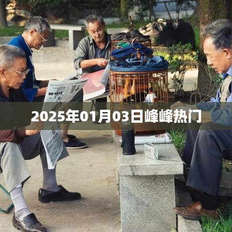 峰峰矿区热门活动，探寻当地魅力，就在2025年元旦！