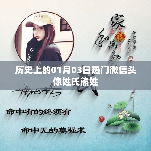 微信头像熊姓，历史上的热门选择