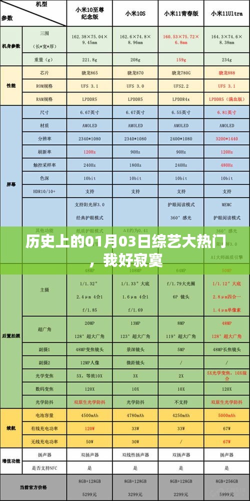 历史上的综艺大热门，一月三日，心情寂寞夜