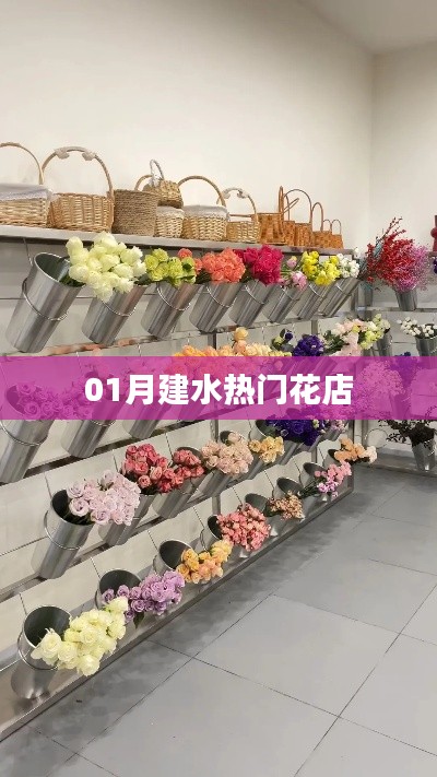 建水一月热门花店推荐