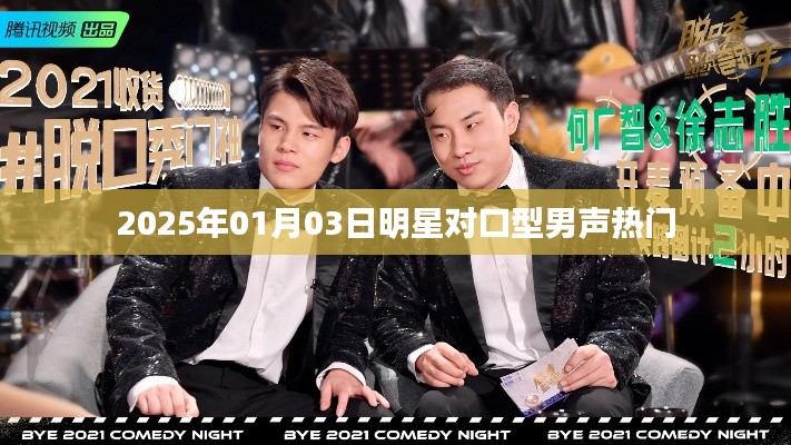 2025年热门男声对口型翻唱，明星歌声引热议